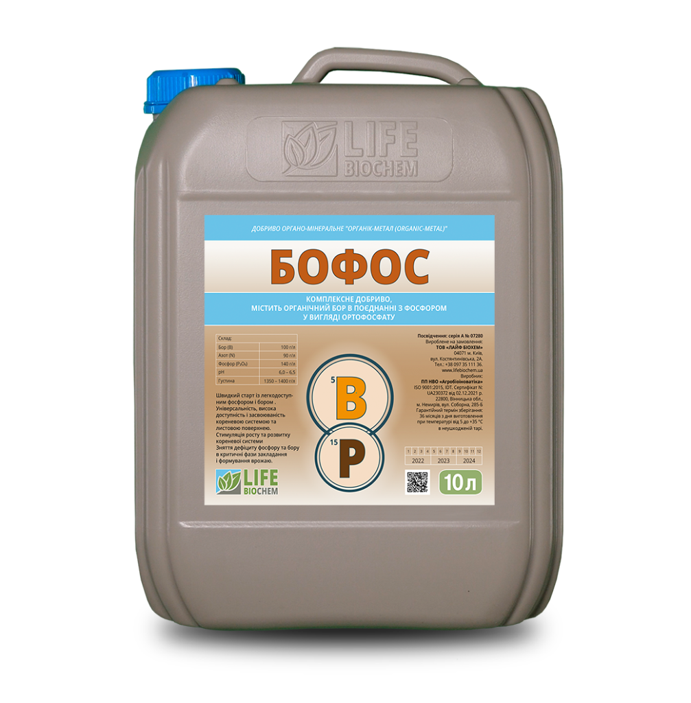 Головна elementor