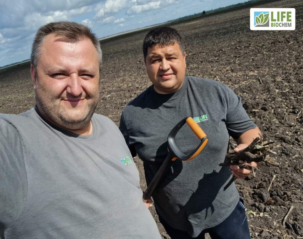 Чому ДЕСТЕРН❓