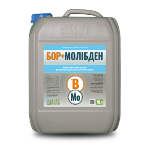 БОР+МОЛІБДЕН